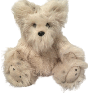 Long Hair Fluffy Terrier