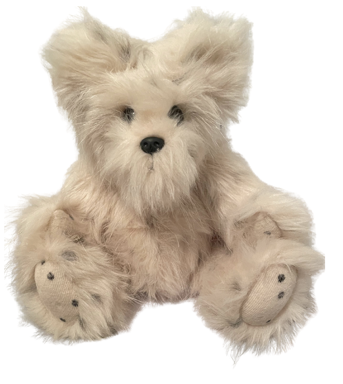 Long Hair Fluffy Terrier